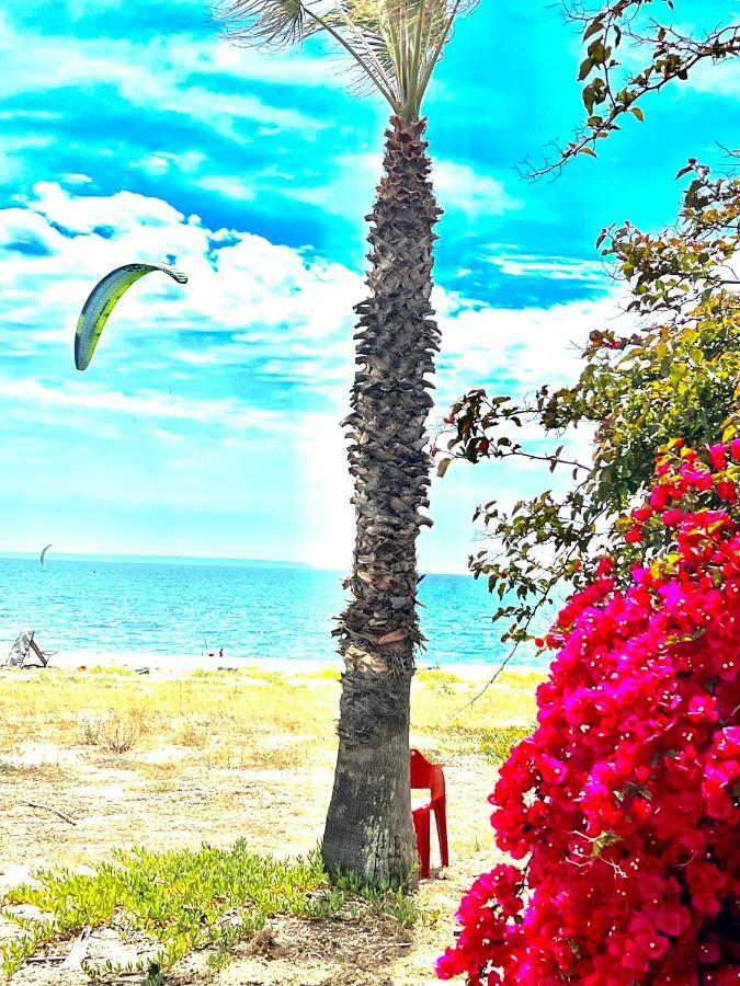 Windsurf Beach Front Torre Grande Exterior foto