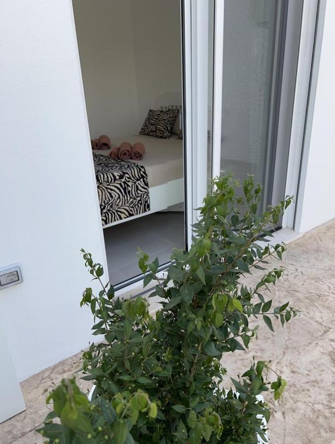 Windsurf Beach Front Torre Grande Exterior foto