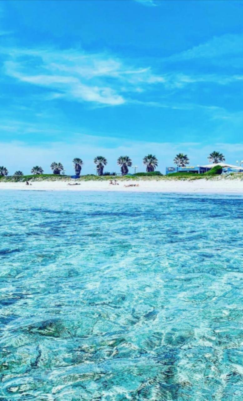 Windsurf Beach Front Torre Grande Exterior foto